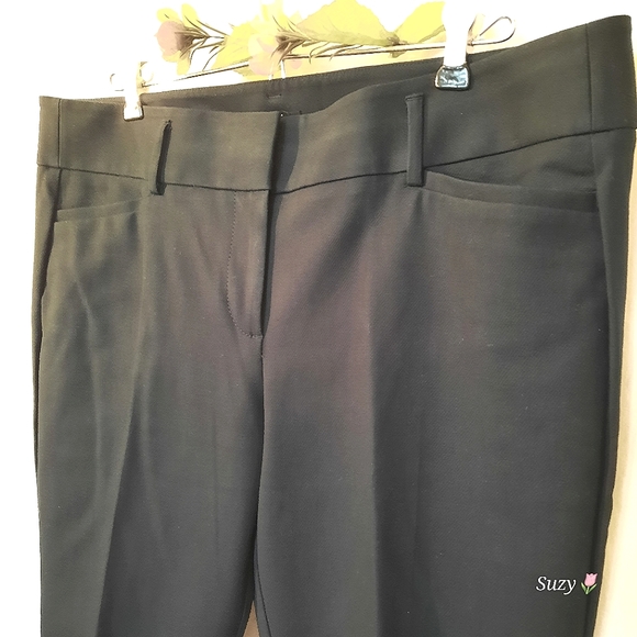 LOFT ANN TAYLOR Marisa Ankle, Navy Pants, Ankle Zip - Picture 4 of 10